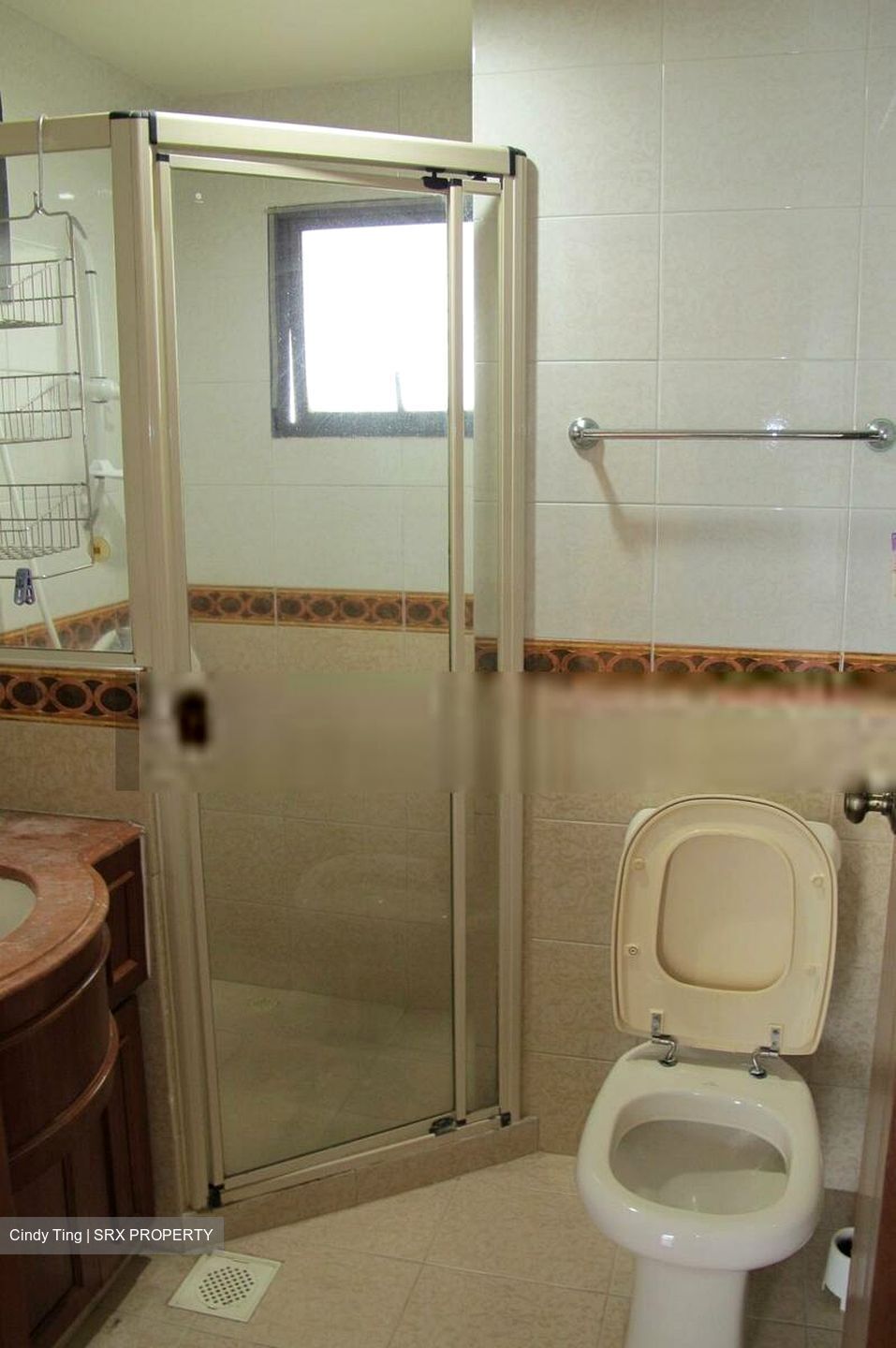 Regentville (D19), Apartment #404538651
